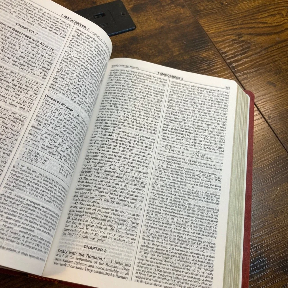New American Bible Official Catholic Red Letter Burgundy Faux Leather 2000